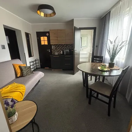 208 Apartment Ania דירה קושאלין